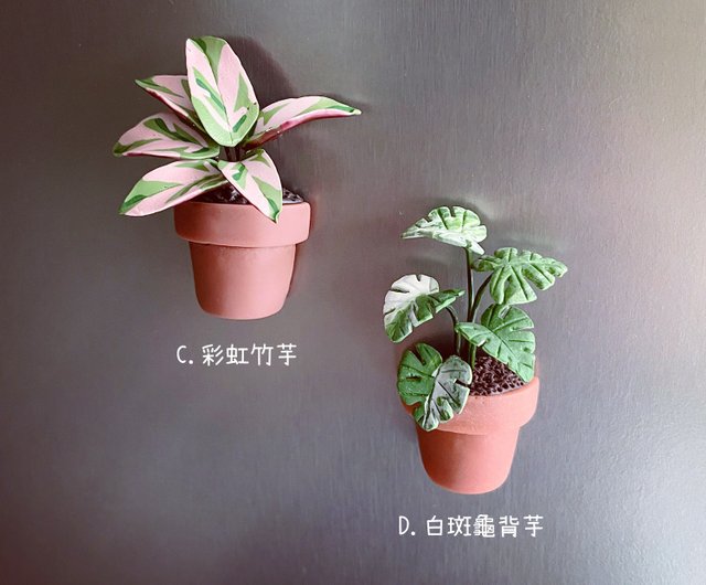 専用出品　2点まとめ売りラグマット観葉植物インテリア Amazon｜人工多肉植物 人工観葉植物三種セット 木箱にLEDライト