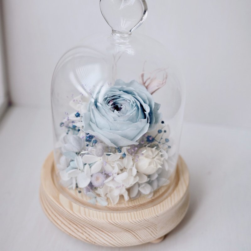 永生花罩盅 含燈  生日 l 週年 l 母親節 l 慶祝 l 藍色系 - 乾燥花/永生花 - 其他材質 