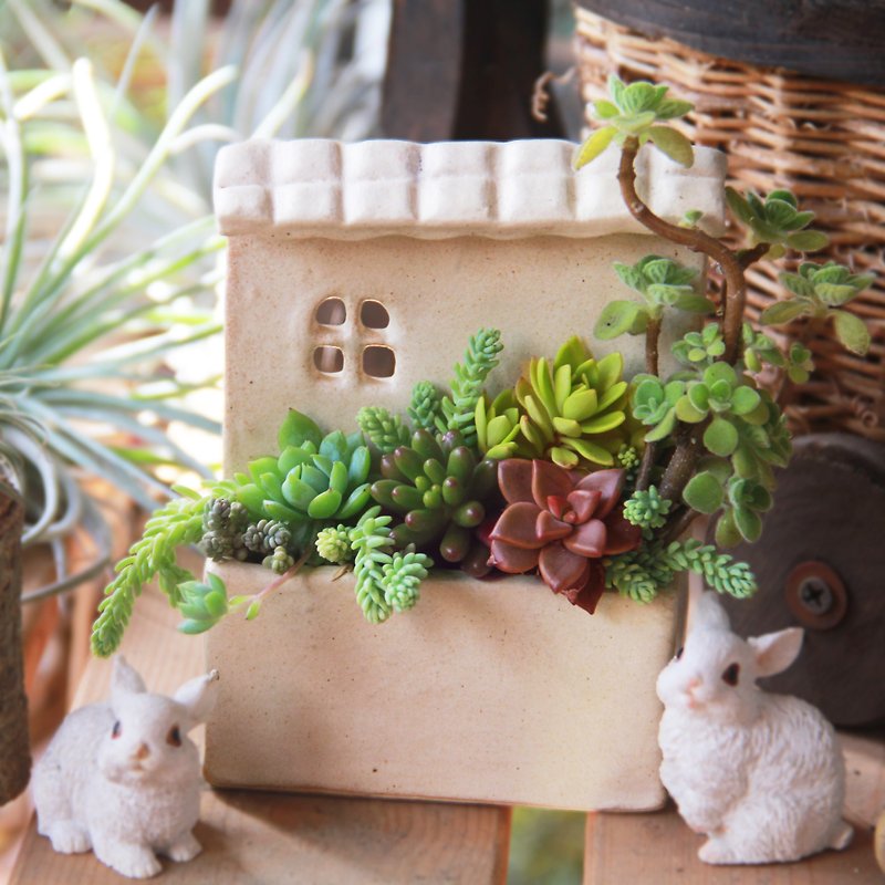 The lovely house 【The series of " Life as a House "】 - Plants - Pottery White