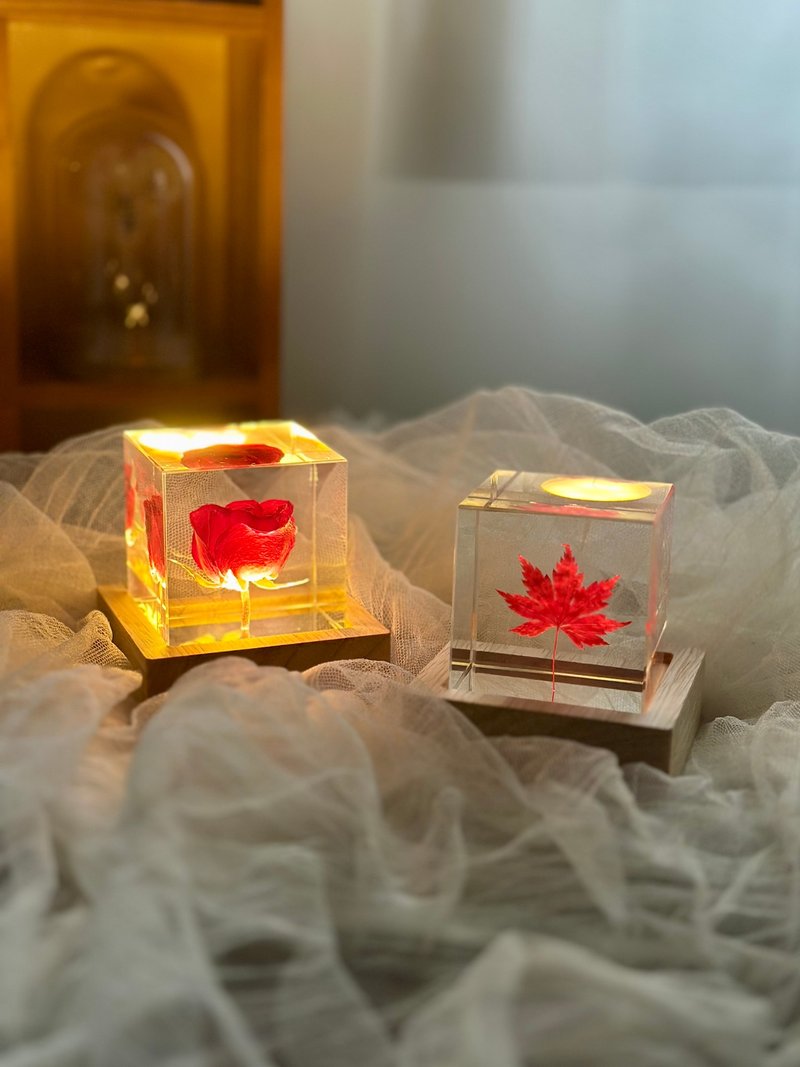 永生花植物標本裝飾燈 玫瑰蒲公英不凋花禮品 - 燈具/燈飾 - 植物．花 