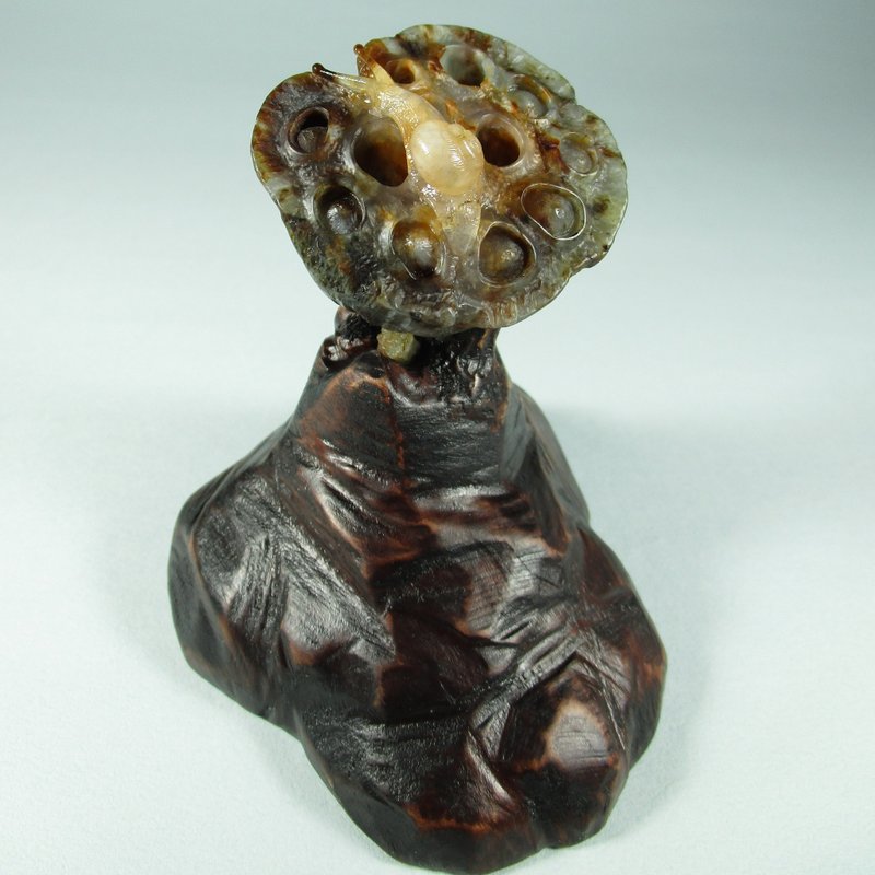 雕件 探索新生命 臺灣花年糕玉/蓮蓬與蝸牛 - 擺飾/家飾品 - 玉石 咖啡色
