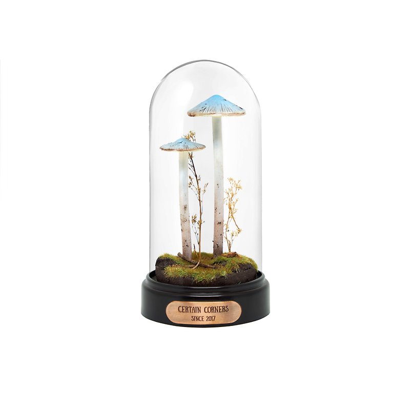 Certain Corners季節小菇蘑菇標本小夜燈 (藍) - 燈具/燈飾 - 其他材質 藍色