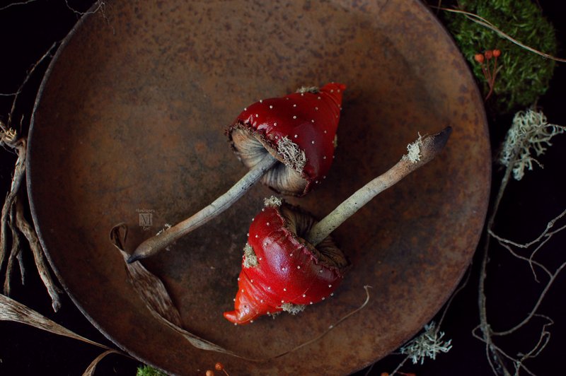 Textile mushroom, decorative interior mushroom, textile fly agaric - เฟอร์นิเจอร์อื่น ๆ - วัสดุอื่นๆ 