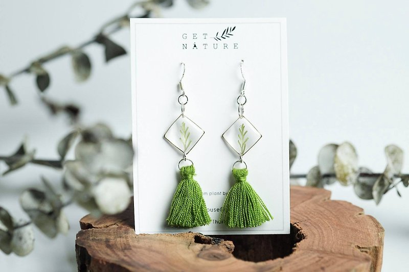 Fern square earrings (silver 925) - ต่างหู - พืช/ดอกไม้ สีเขียว