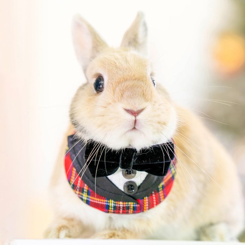 【Momoji】Pet Bib Collar - Stuart (01-Tartan Red Plaid) - ชุดสัตว์เลี้ยง - ผ้าฝ้าย/ผ้าลินิน สีแดง