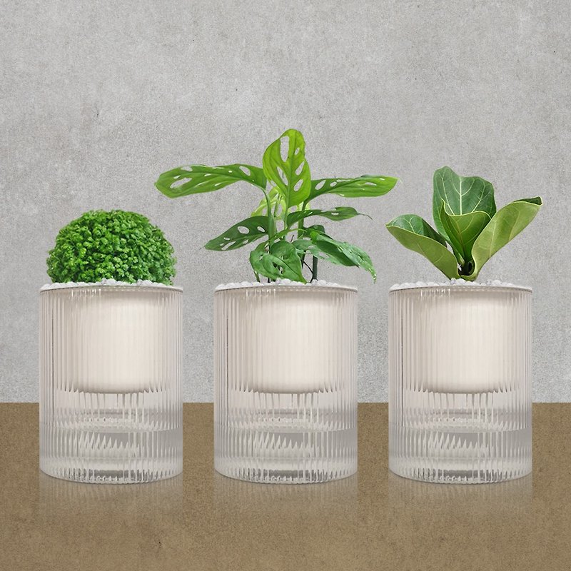 Muji style three potted plants - Plants - Plastic Green