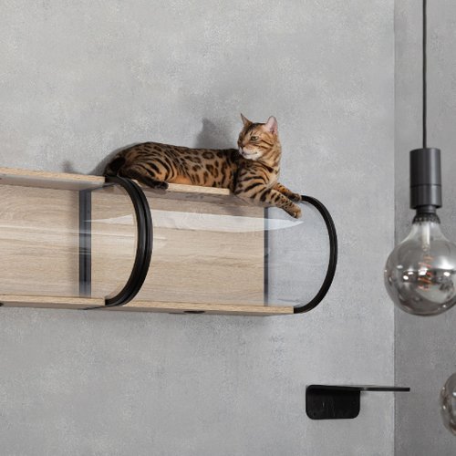 猫用ステップ台 楽天市場】＼セール限定P10倍♪／猫ステップ 猫用 爪とぎハウス