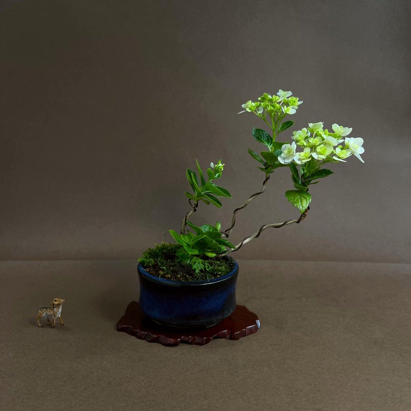 日本紫陽花∣萬華鏡 迷你茶道盆栽 開花中 - 盆栽/植栽 - 陶 