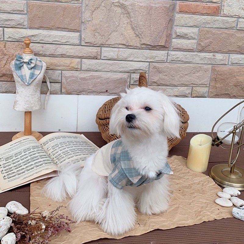其他材質 寵物衣服 - Warm&Cozy Pet Shirt for dog, cat, puppy  (Matching Outfit with owner)