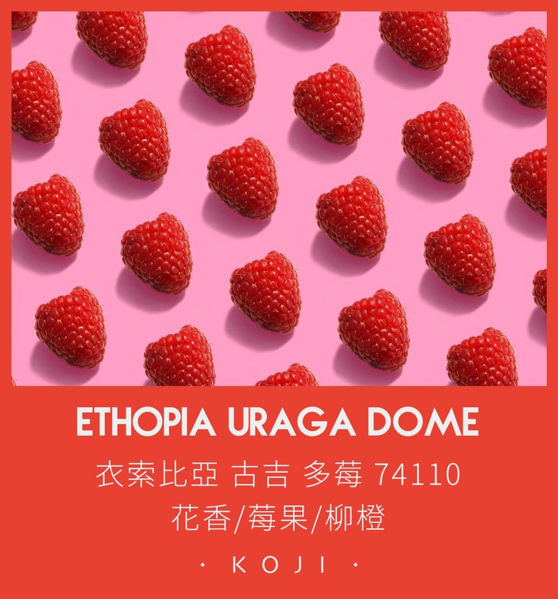 衣索比亞 淺烘焙 古吉 多莓 烏拉嘎 日曬 咖啡豆 掛耳包 - 咖啡/咖啡豆 - 新鮮食材 白色