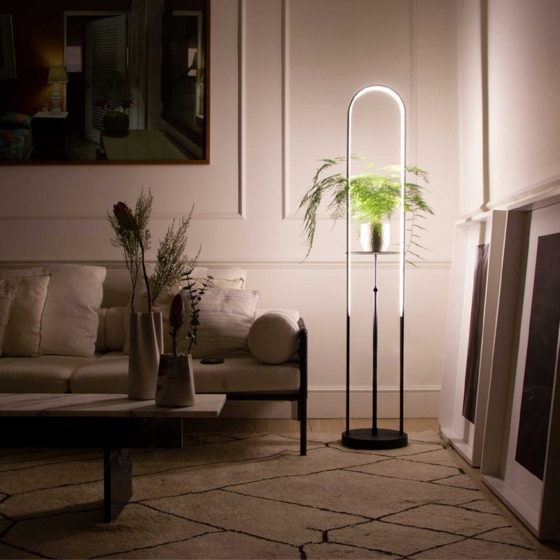 camino X MASSIMO | Eden Lamp 植生環形立燈 植物燈 擺飾 LED 燈 - 燈具/燈飾 - 其他材質 黑色