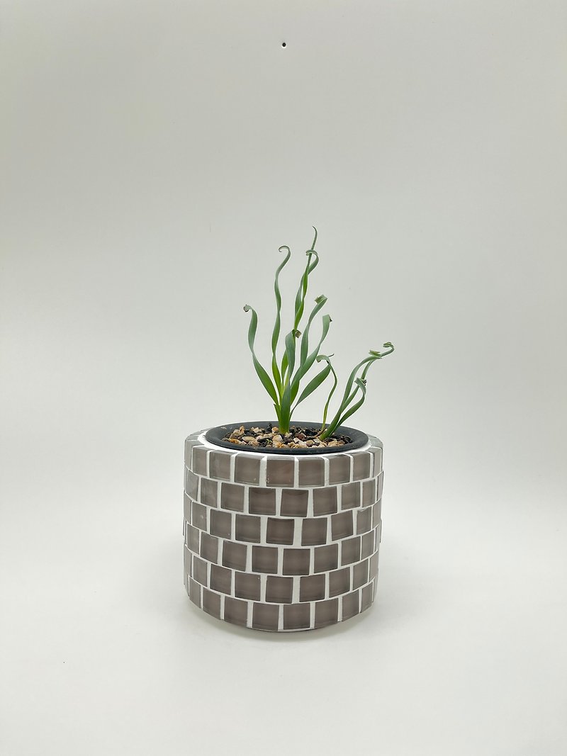 モザイク植木鉢 - 花瓶・植木鉢 - コンクリート カーキ