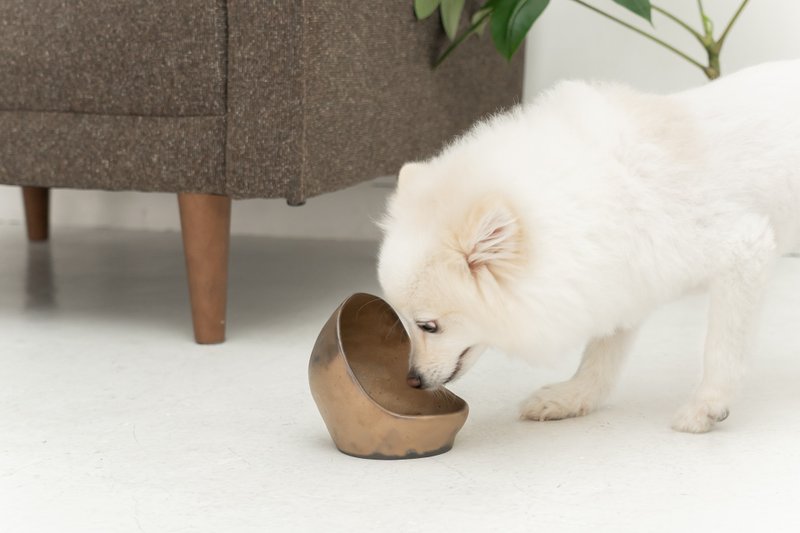 Golden Ceramic  ペットボウル　食器スタンド　小型犬　中型犬　ネコ　陶器 - 寵物碗/碗架/自動餵食器 - 陶 金色