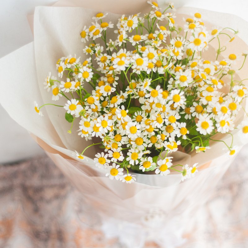 單品花束 | 鄉村風洋甘菊花束 | 可客製 - 乾燥花/永生花 - 植物．花 白色