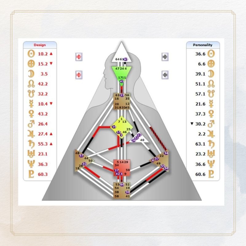 Human Diagram Electronic Report-Live Yourself-A Personal Instruction Manual Tailored for You - Photography/Spirituality/Lectures - Other Materials 