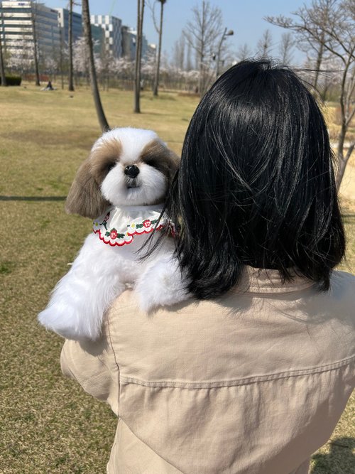 ハローキティ　シーズー　ぬいぐるみ　ワンコ　犬　レトロ　約40cm 抱っこ 500x0.jpg