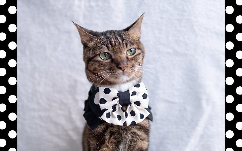 【Mizutama・みずたま】Pet scarf cat/dog polka dot-black - Collars & Leashes - Cotton & Hemp Black