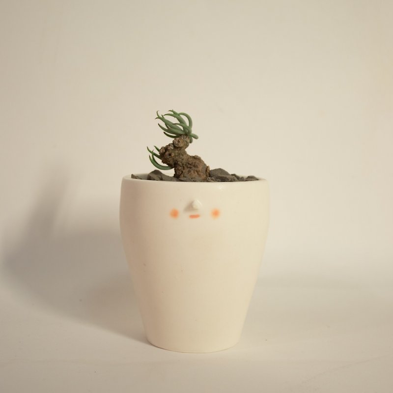 YUME ceramic potted plant - ตกแต่งต้นไม้ - เครื่องลายคราม 