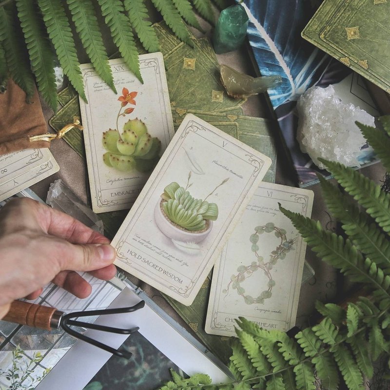 【療癒植物神諭卡】結合植物圖鑑 × 療癒卡牌 - 桌遊/卡牌 - 紙 綠色