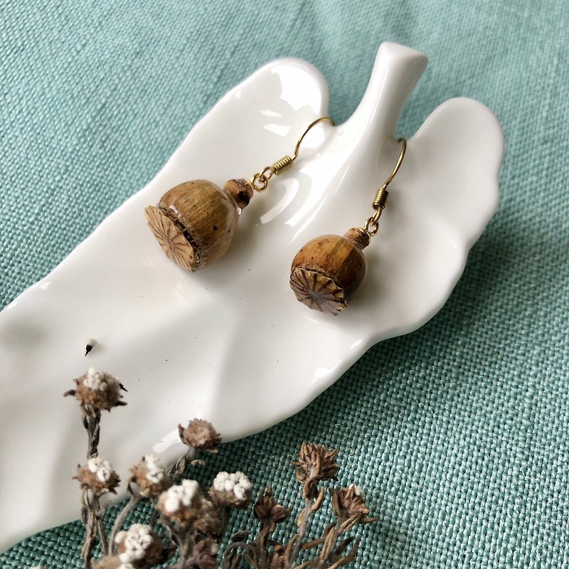 [Brass-Dry Flower Earrings] Corn Poppy - ต่างหู - พืช/ดอกไม้ สีนำ้ตาล
