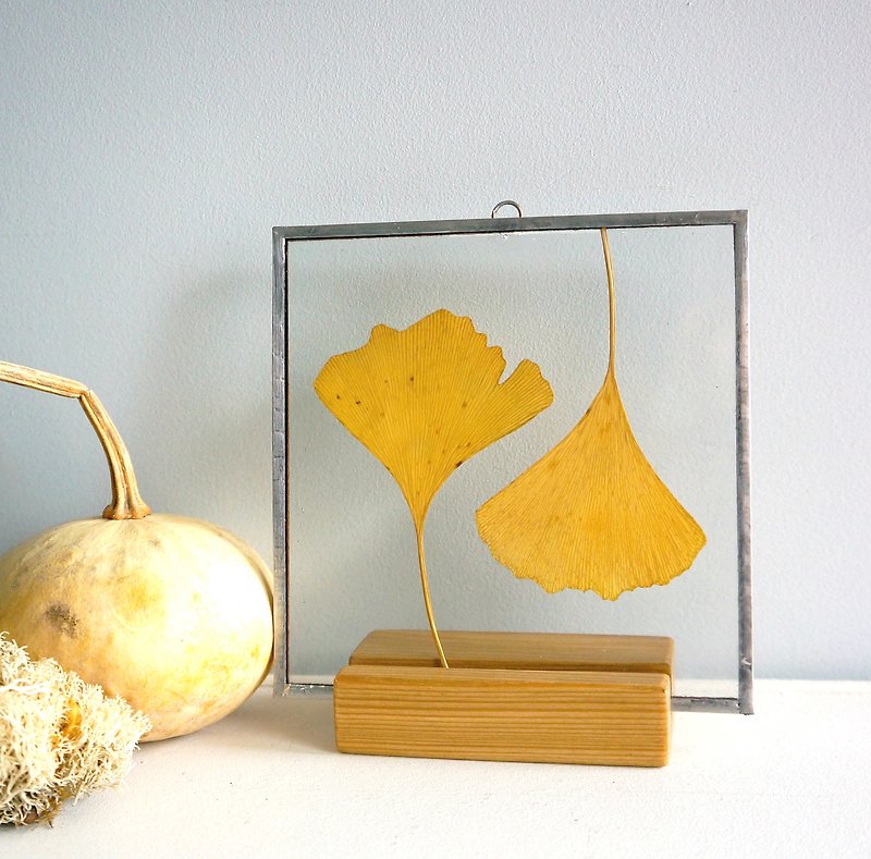 銀杏葉 樹葉 黃葉裝飾 植物禮物創意 - 乾燥花/永生花 - 玻璃 黃色