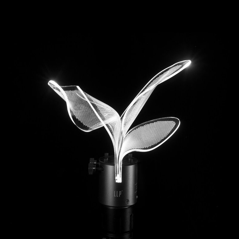 LLPyoung-Flower手電套裝-光繪攝影道具-限量發售版 - 其他 - 其他材質 黑色