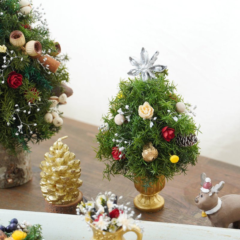 [Christmas Gifts 1+1] Mini Everlasting Christmas Tree/Flower Cup - Dried Flowers & Bouquets - Plants & Flowers 