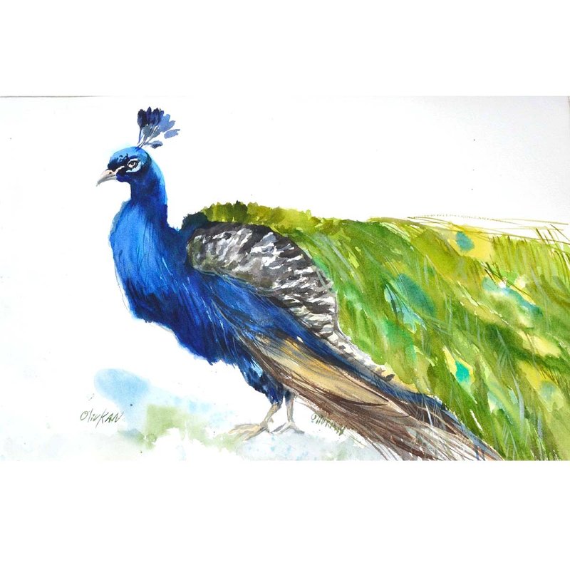 Peacock Painting Original  Art Bird Peacock Artwork Peacock Watercolor Art - 海報/掛畫/掛布 - 環保材質 