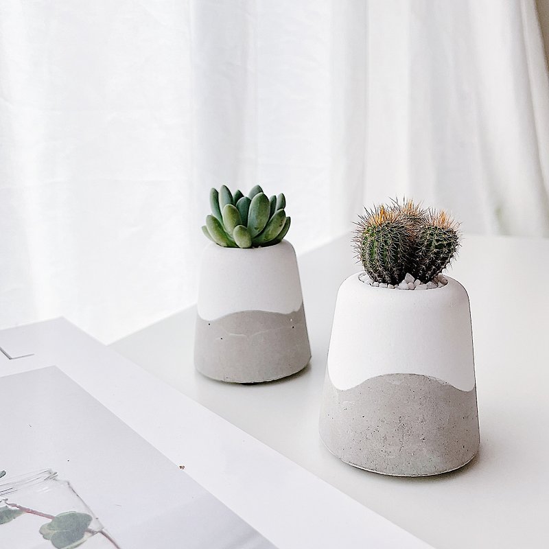 Small Tree Series- Cement Potted Plants Can Plant Succulents/Cacti - ตกแต่งต้นไม้ - ปูน หลากหลายสี
