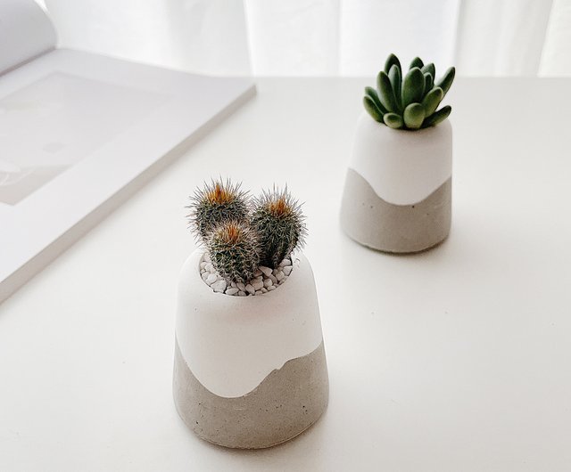 小さな木シリーズ-セメント鉢植えの植物は多肉植物/サボテンを