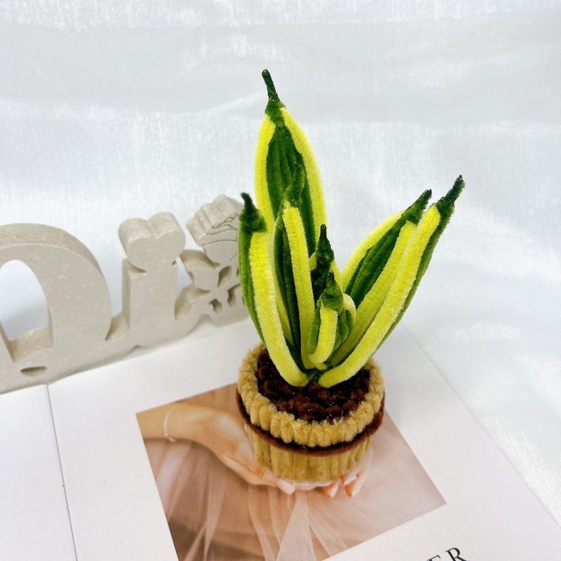 [Material package] Hairy root hand-made golden-edged Sansevieria potted plant - Plants & Floral Arrangement - Other Materials 