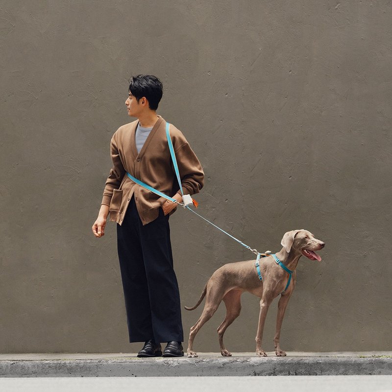 【tails&me 尾巴與我】新經典系列 犬貓共用多功能牽繩(共6色) - 項圈/牽繩 - 尼龍 多色