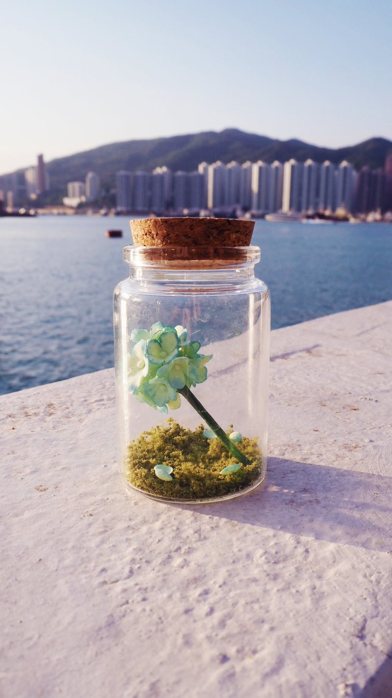 【訂】黏土多肉植物 — 樽仔黏土繡球花 - 植栽/盆栽 - 黏土 