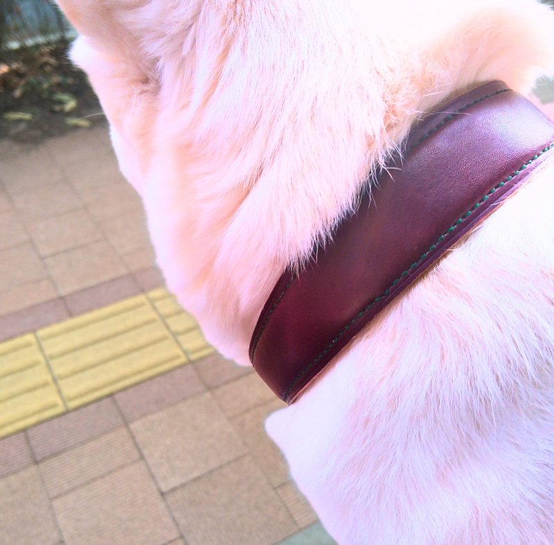 Genuine Leather - Hand Dyed - Hand Sewn Gorgeous Dog Collar - Wine Color - ปลอกคอ - หนังแท้ สีแดง