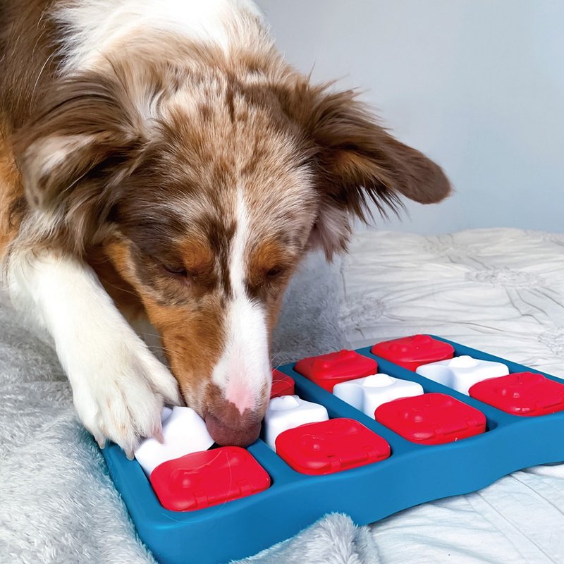 Nina Ottosson Dog Brick - Pet Toys - Rubber 