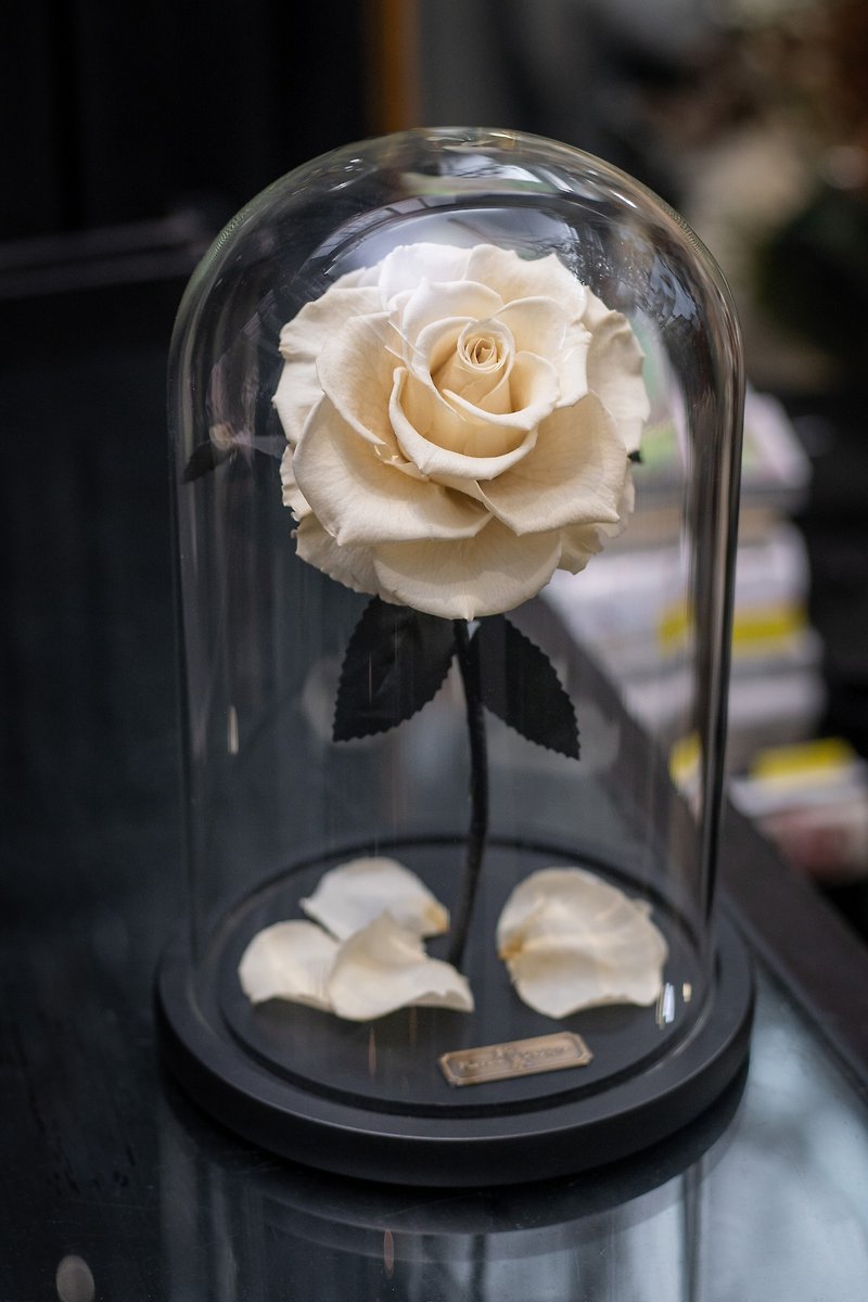 Valentine's Day Flower Gift/Beauty and the Beast Rose Eternal Flower Retro White L - Dried Flowers & Bouquets - Plants & Flowers White