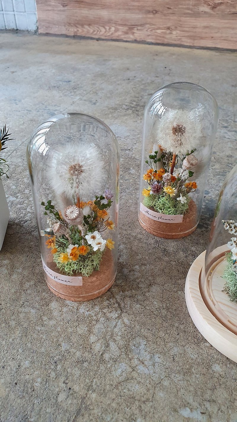 dandelion blessing graduation flower gift birthday flower gift - Dried Flowers & Bouquets - Plants & Flowers White