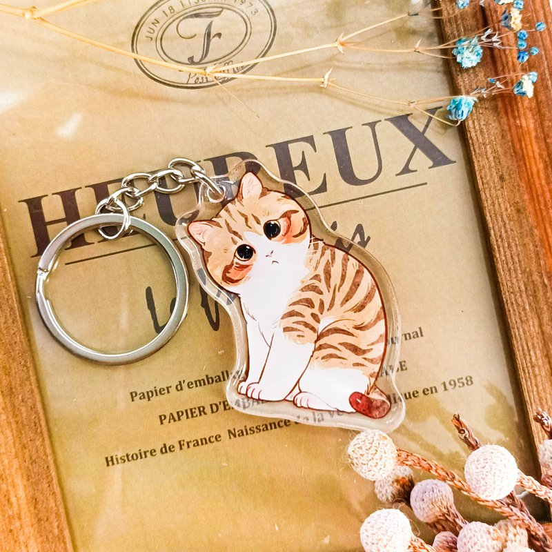 024橘貓D orange tabby D/晶透吊飾 stationery charm - 鑰匙圈/鑰匙包 - 塑膠 多色