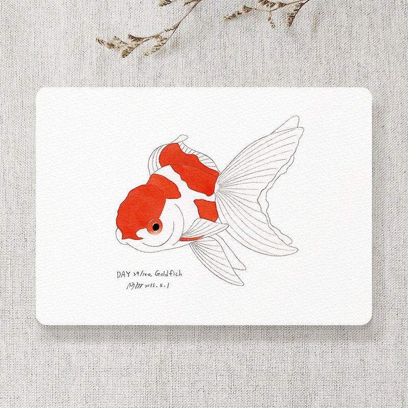 Goldfish postcard