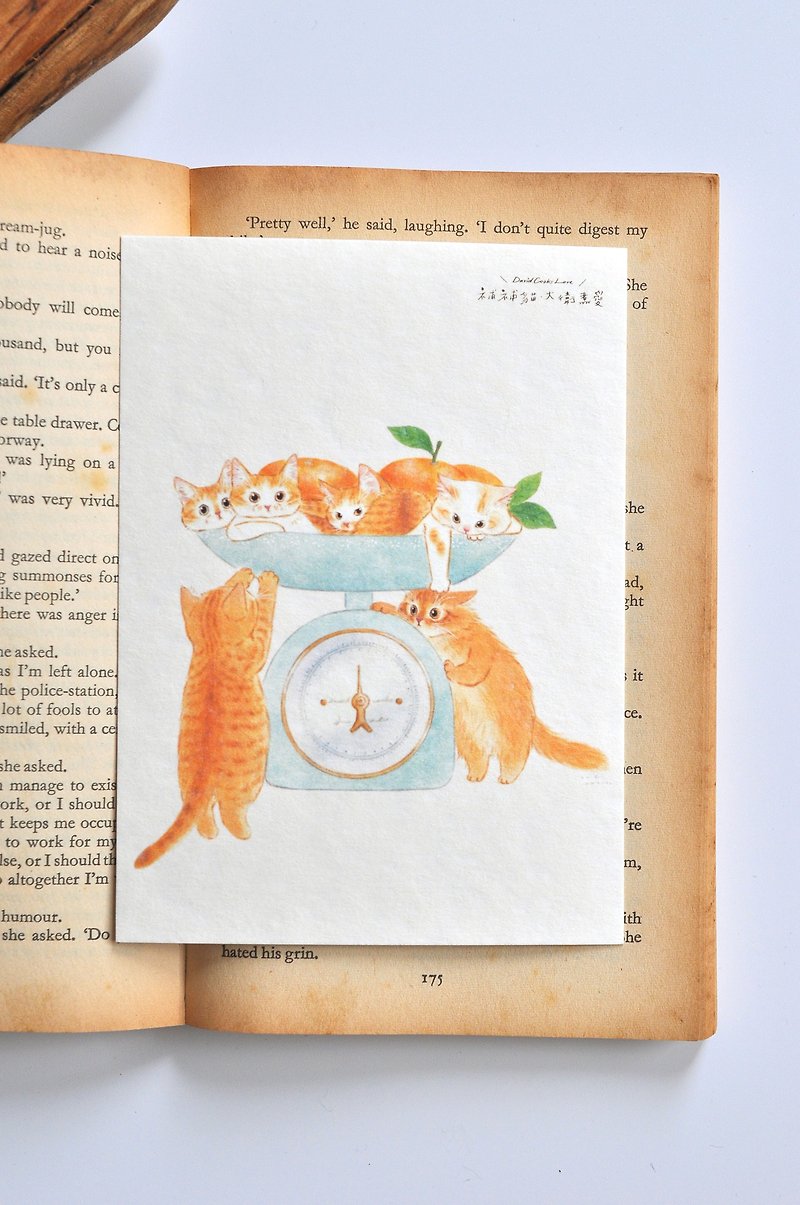 Cat illustration postcard-orange cat weighs a few pounds - Cards & Postcards - Paper Orange
