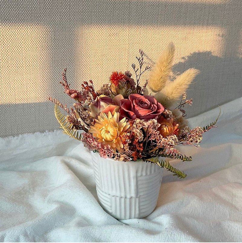 不滅の小さなカップの花乾燥した小さなポットの花 - ドライフラワー・ブーケ - 寄せ植え・花 