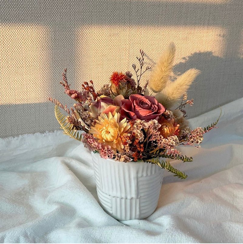 永生小杯花 乾燥小盆花 - 乾燥花/永生花 - 植物．花 