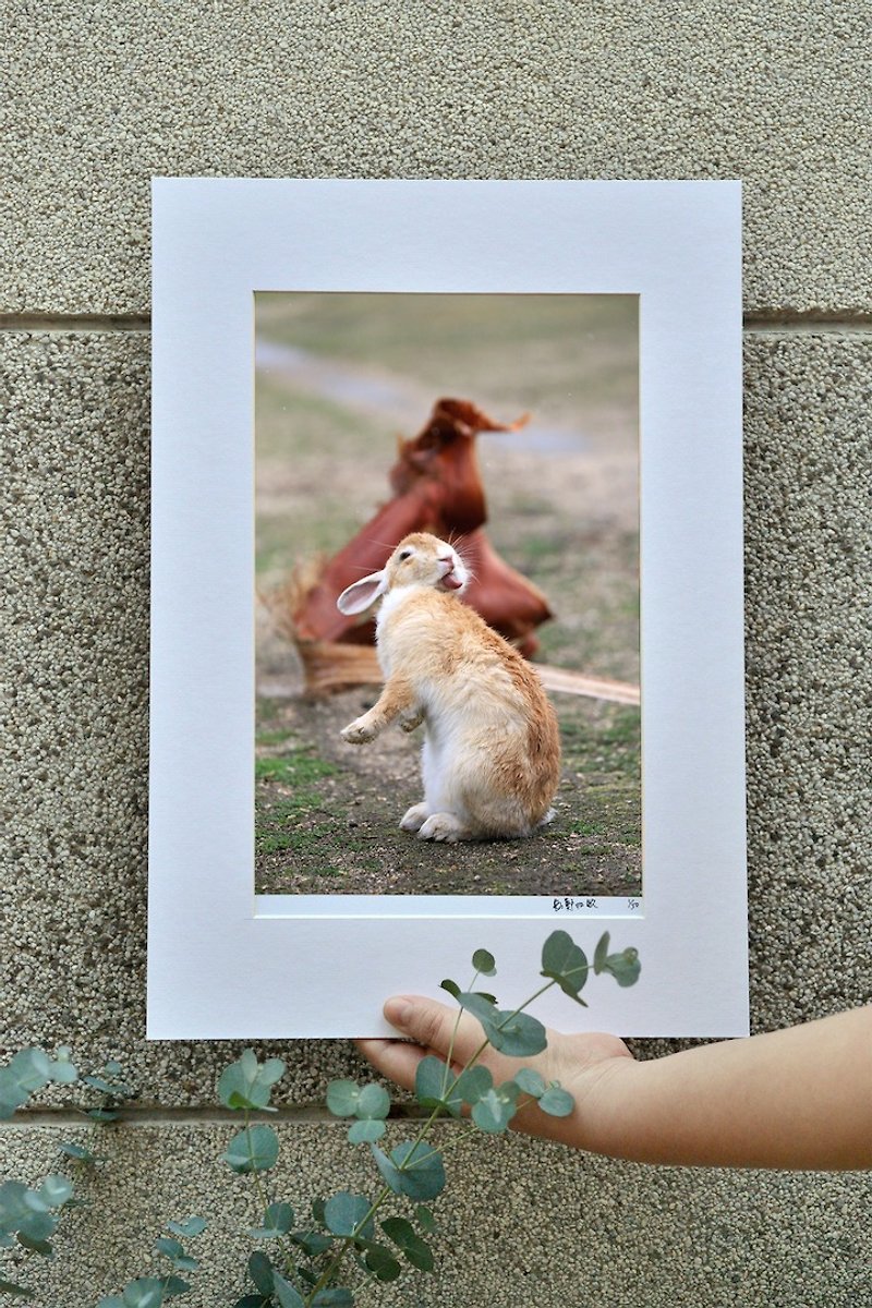 Original limited edition rabbit photography art-Blush - ของวางตกแต่ง - กระดาษ สีแดง