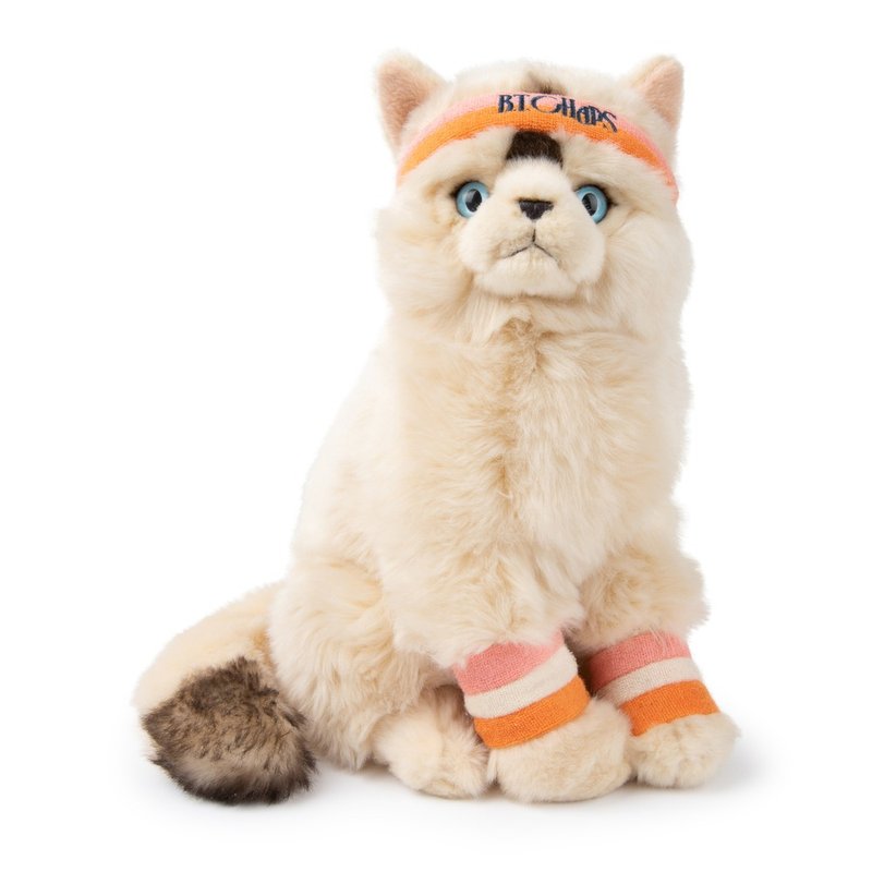 BT Chaps Ragdoll Cat Doll-Dolly 32cm - Stuffed Dolls & Figurines - Other Man-Made Fibers Multicolor