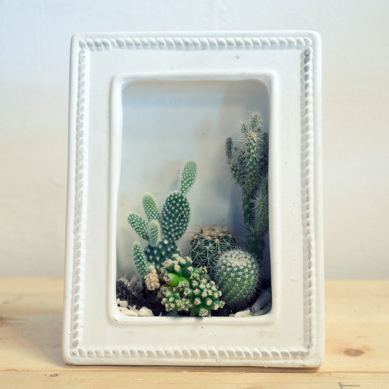 Micro King design - small white ceramic frame (cactus combination) - ตกแต่งต้นไม้ - ดินเผา สีเขียว