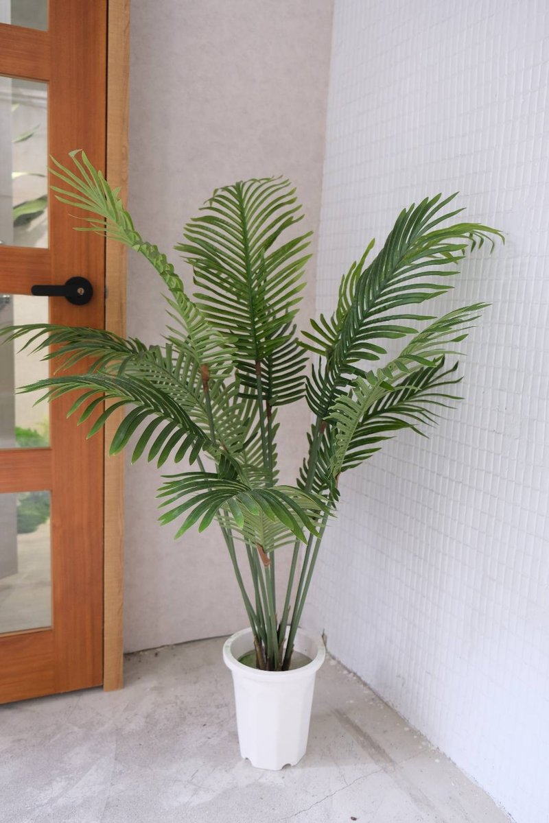 人造植栽/仿真椰子樹/仿真植物/綠化/永不凋零 - 植栽/盆栽 - 塑膠 綠色