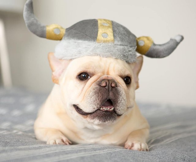 Dog viking clearance hat