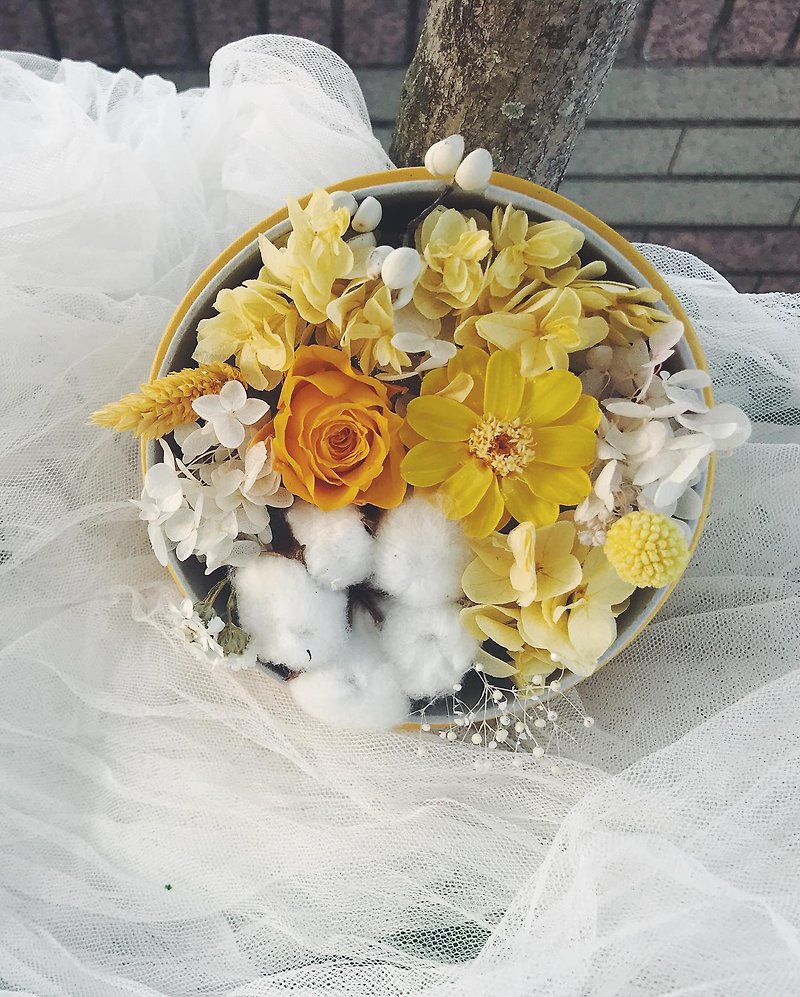 Winter waltz / no flower box / erect - autumn orange - Dried Flowers & Bouquets - Plants & Flowers 