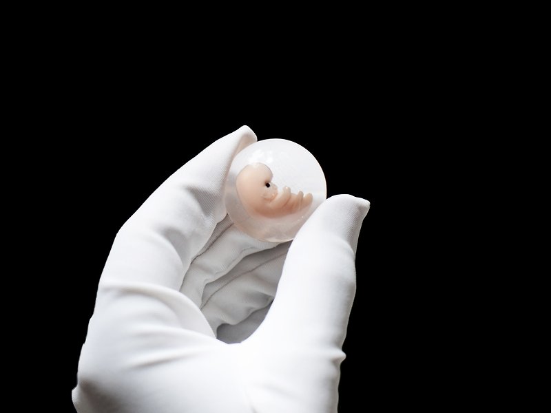 Embryo 8 weeks in Lens, 8 weeks pregnant, Sculpture cast in resin