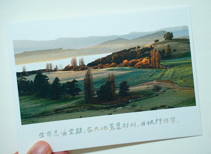 給拍照的人 /Magai's postcard - 卡片/明信片 - 紙 綠色